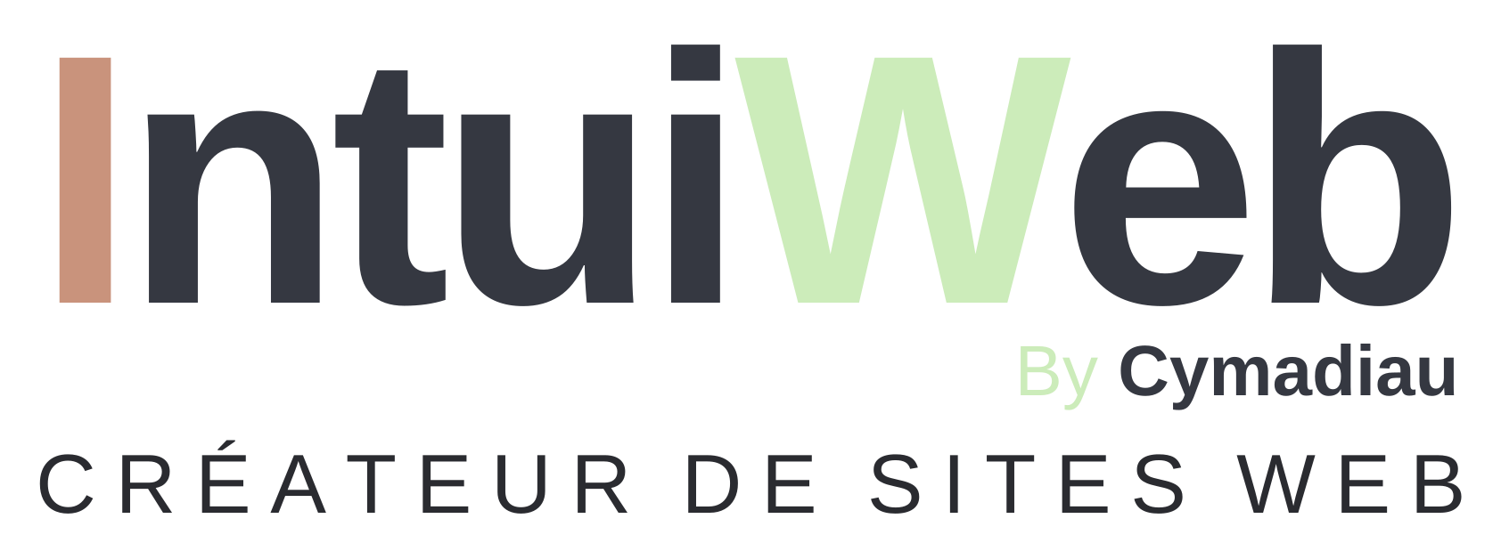 Logo IntuiWeb — version claire