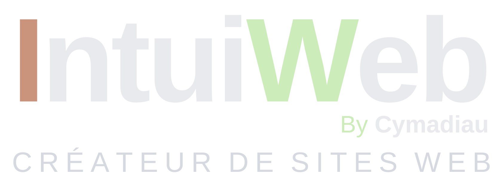 Logo IntuiWeb — version sombre